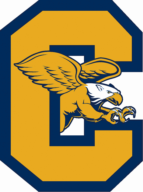 Canisius Golden Griffins decals